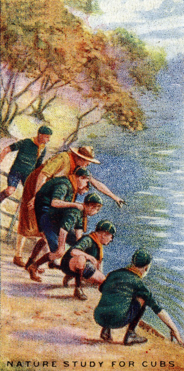Přírodovědná studie pro mláďata, 1929 od English School