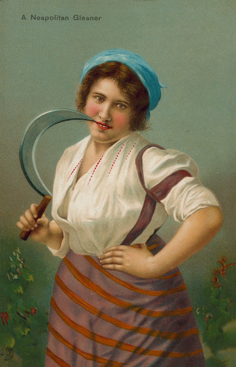 sběrač neapolský (chromolitho) od English School