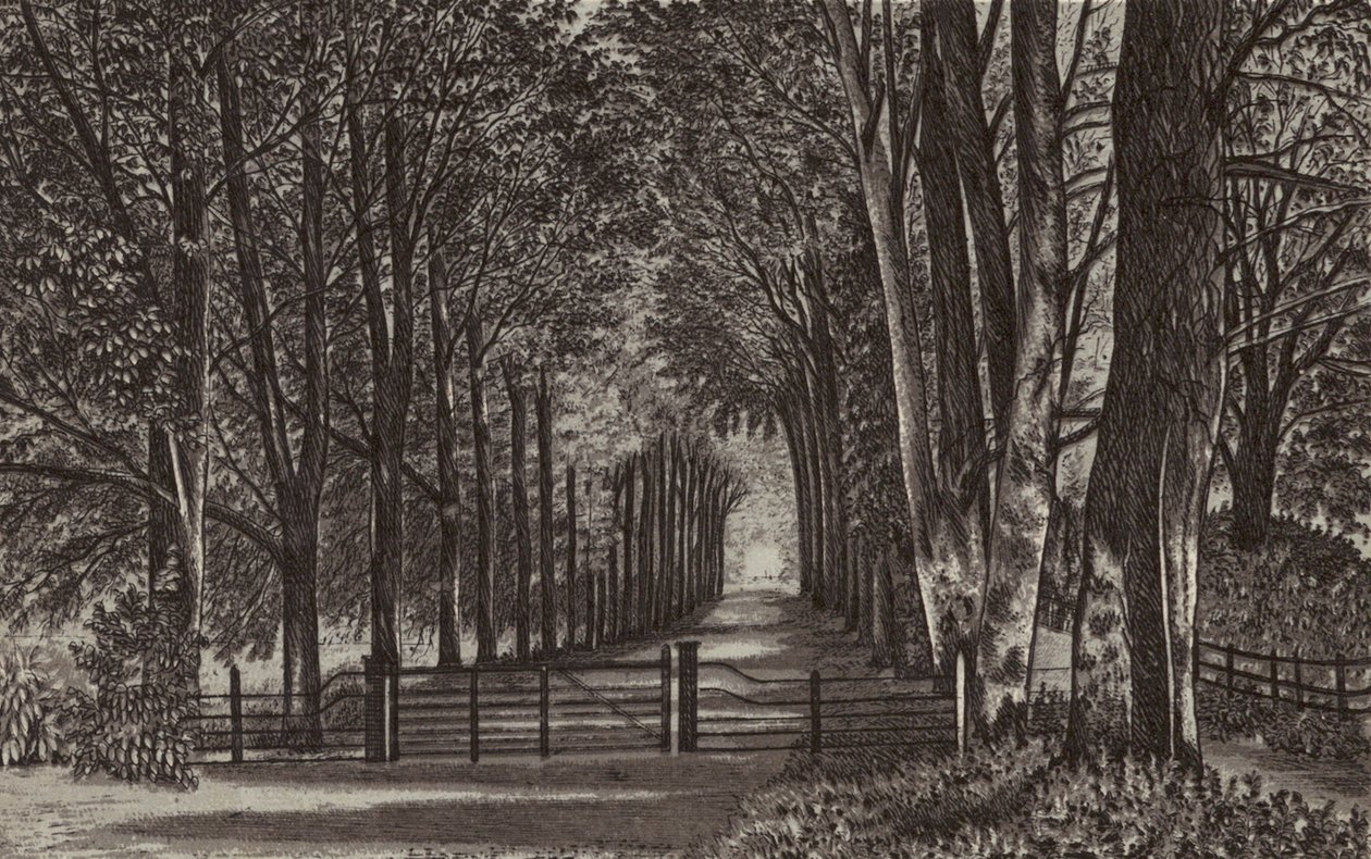 Newbury: Avenue, Highclere Park (litografie) od English School