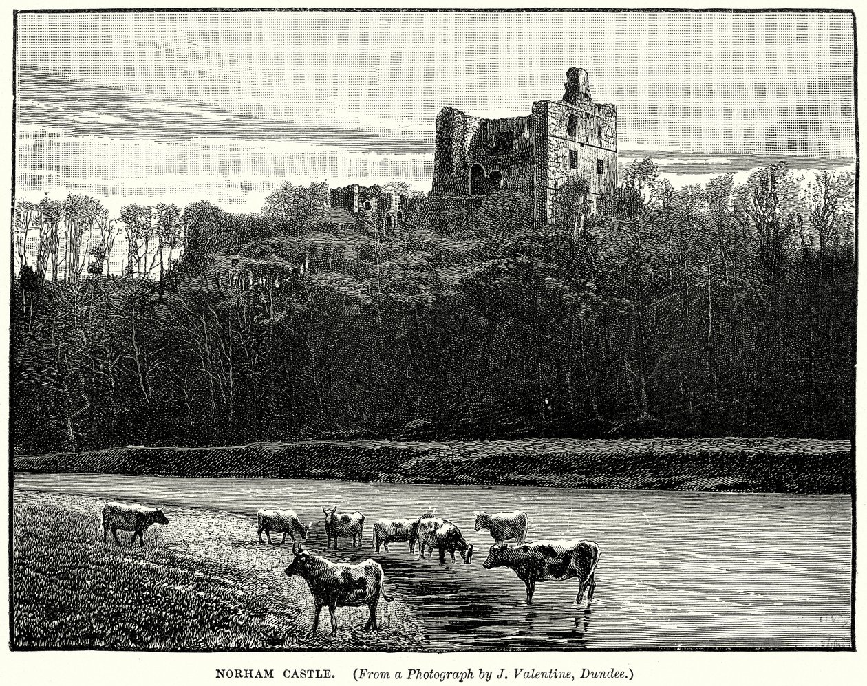 Hrad Norham (rytina) od English School