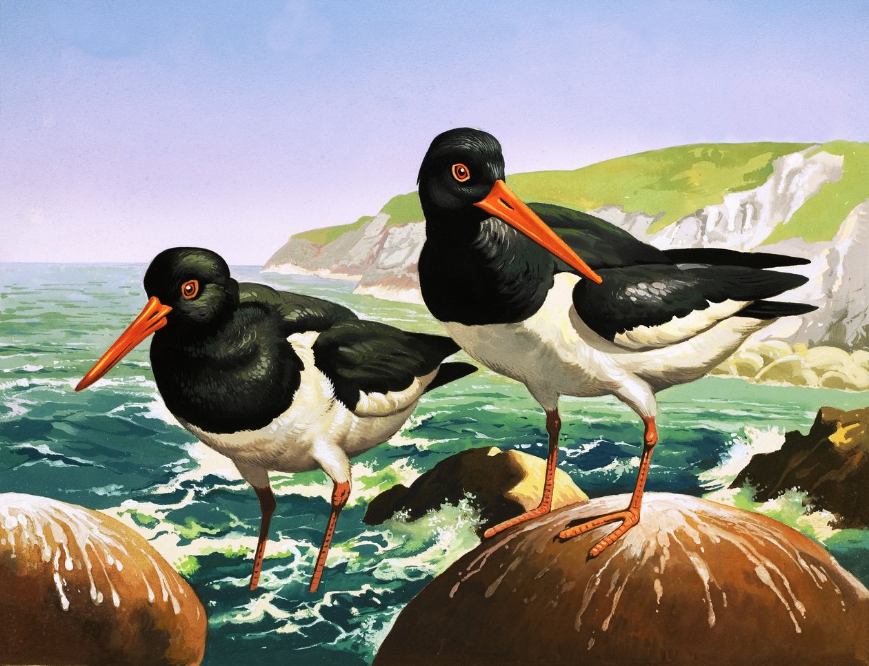 Ústřice, ilustrace z knihy "Bylo nebylo" (kvaš na papíře) od English School