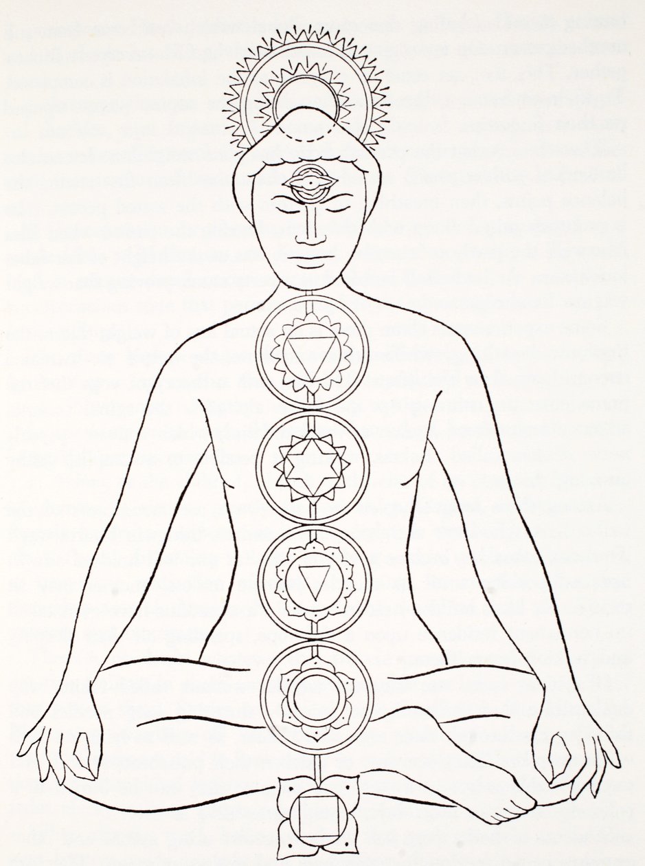 Padmasana nebo lotosová pozice od English School