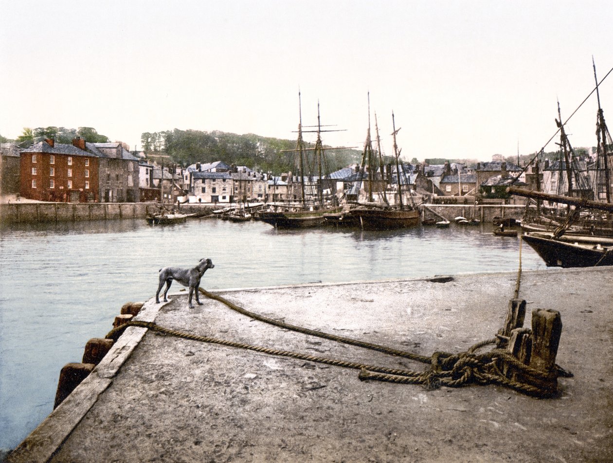 Padstow Quay (ručně kolorovaná fotografie) od English School