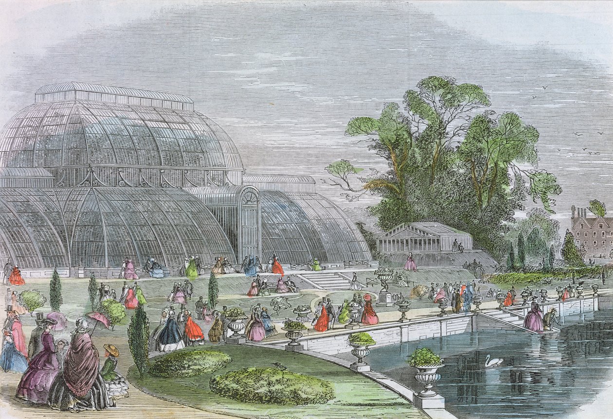 Palm House, Kew (rytina) od English School
