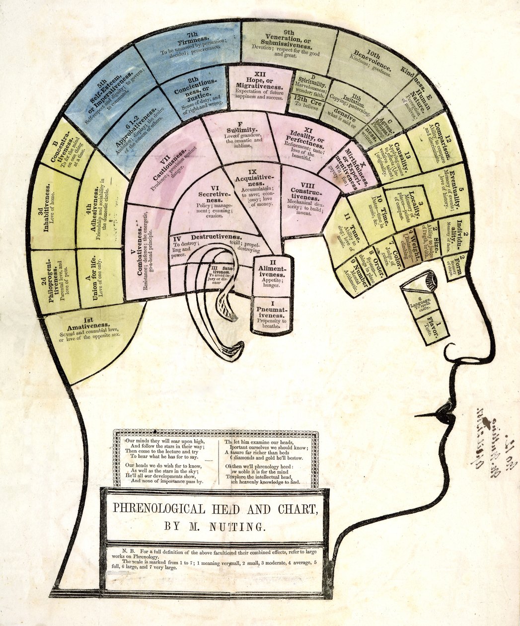 Phrenological Head and Chart, pub. 1857 (barevné lito) od English School