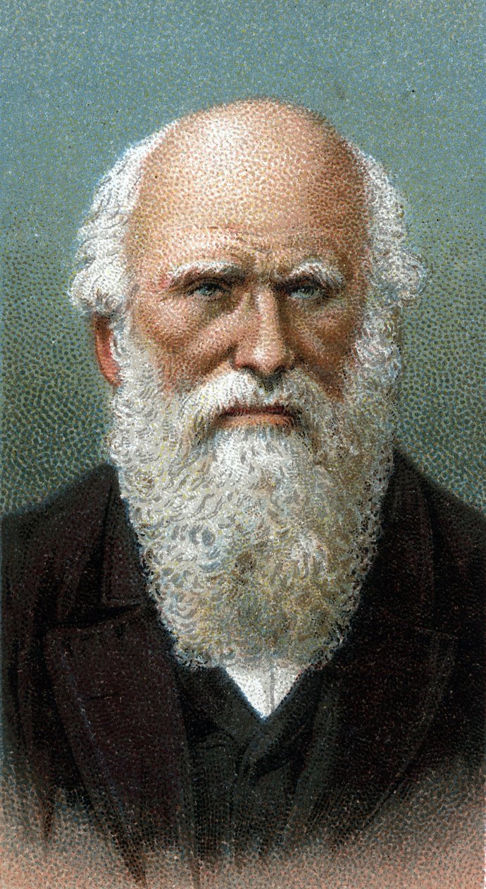 Portrét Charlese Roberta Darwina (1809-1882) - Ze série "" Leaders of Men "" - Chromolitografie - Anglická škola, 20. století - od English School