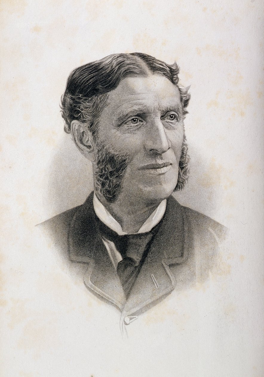Portrét Matthewa Arnolda (1822-88), od English School