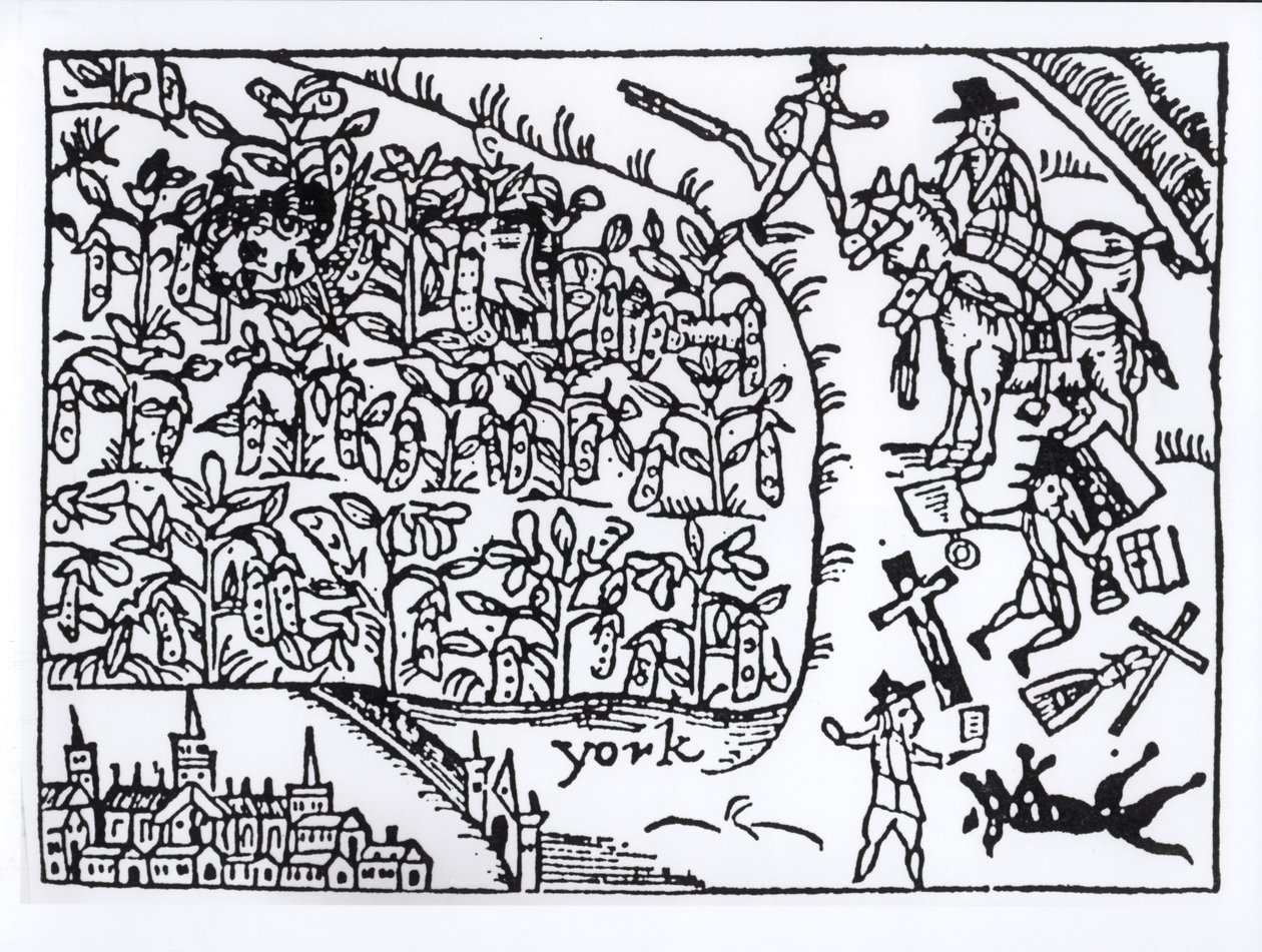 Princ Rupert (1619-82) se skrýval na fazolovém poli v bitvě u Marston Moor 2. července 1644 od English School