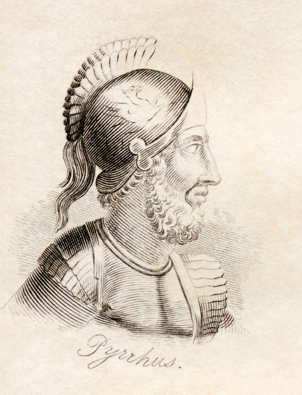 Pyrrhus, z knihy "Crabb