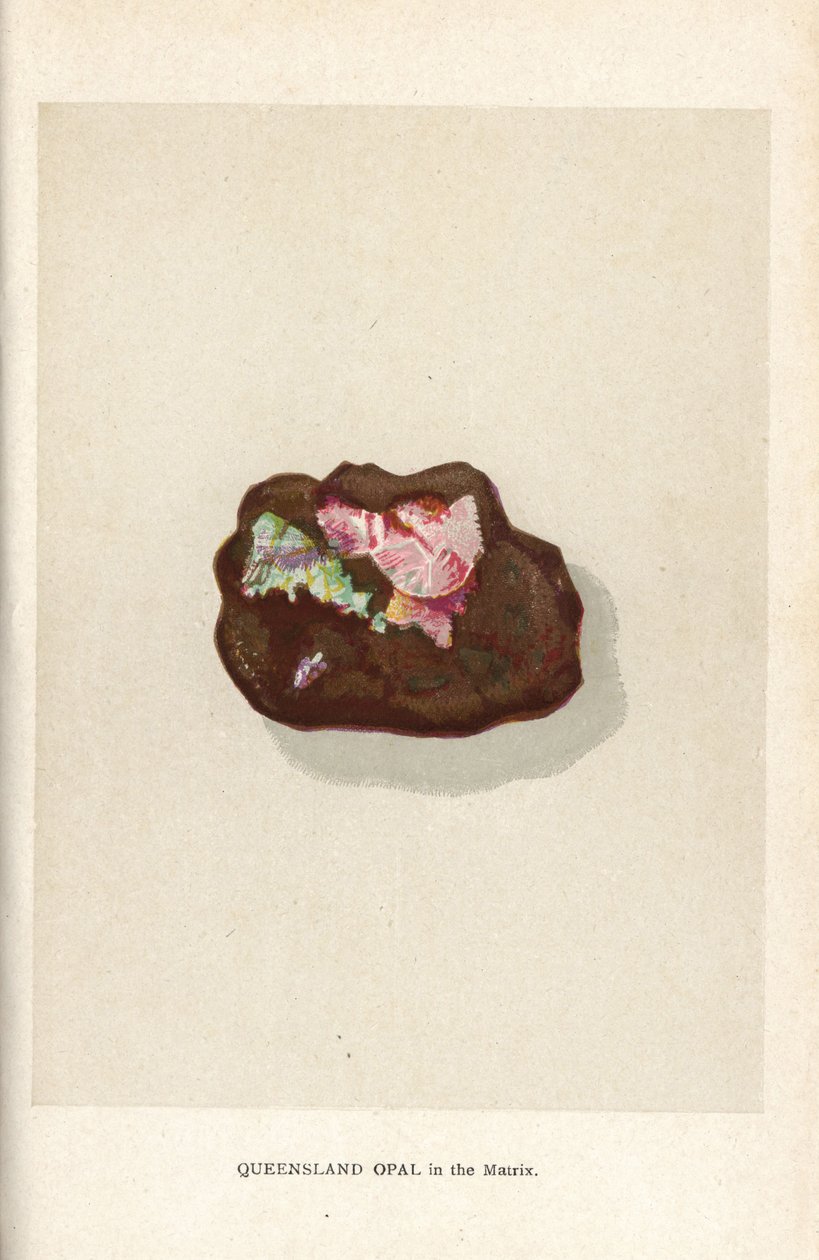 Queensland opál v matrici, z knihy Edwina Streetera „Precious Stones and Gems“, London, George Bell & Sons od English School