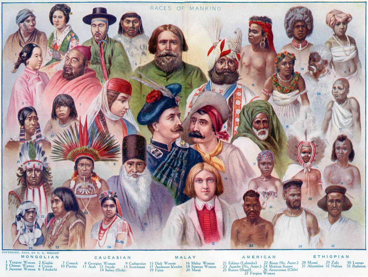 Races of Mankind, od The British Empire Universities Modern English Illustrated Dictionary, pub. 1914 od English School