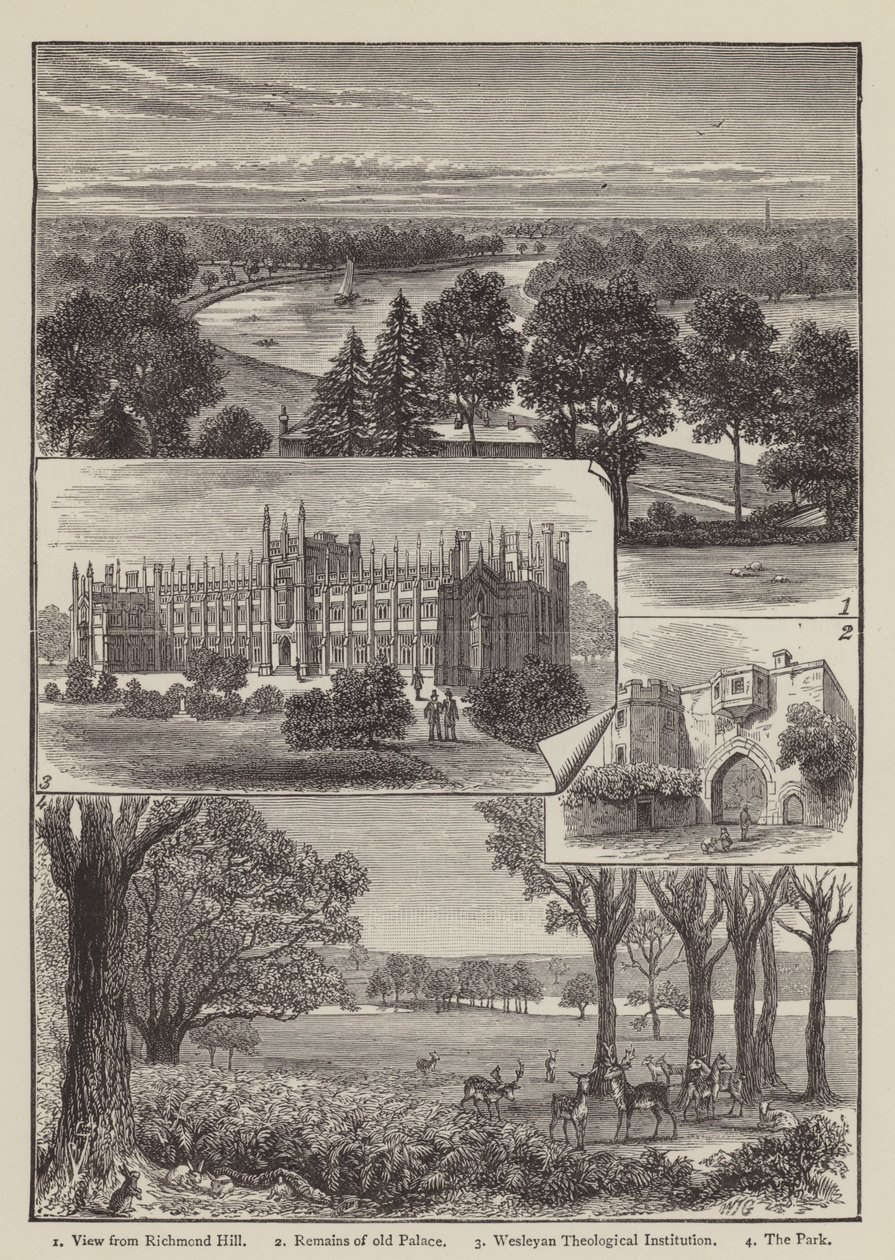 Richmond (rytina) od English School