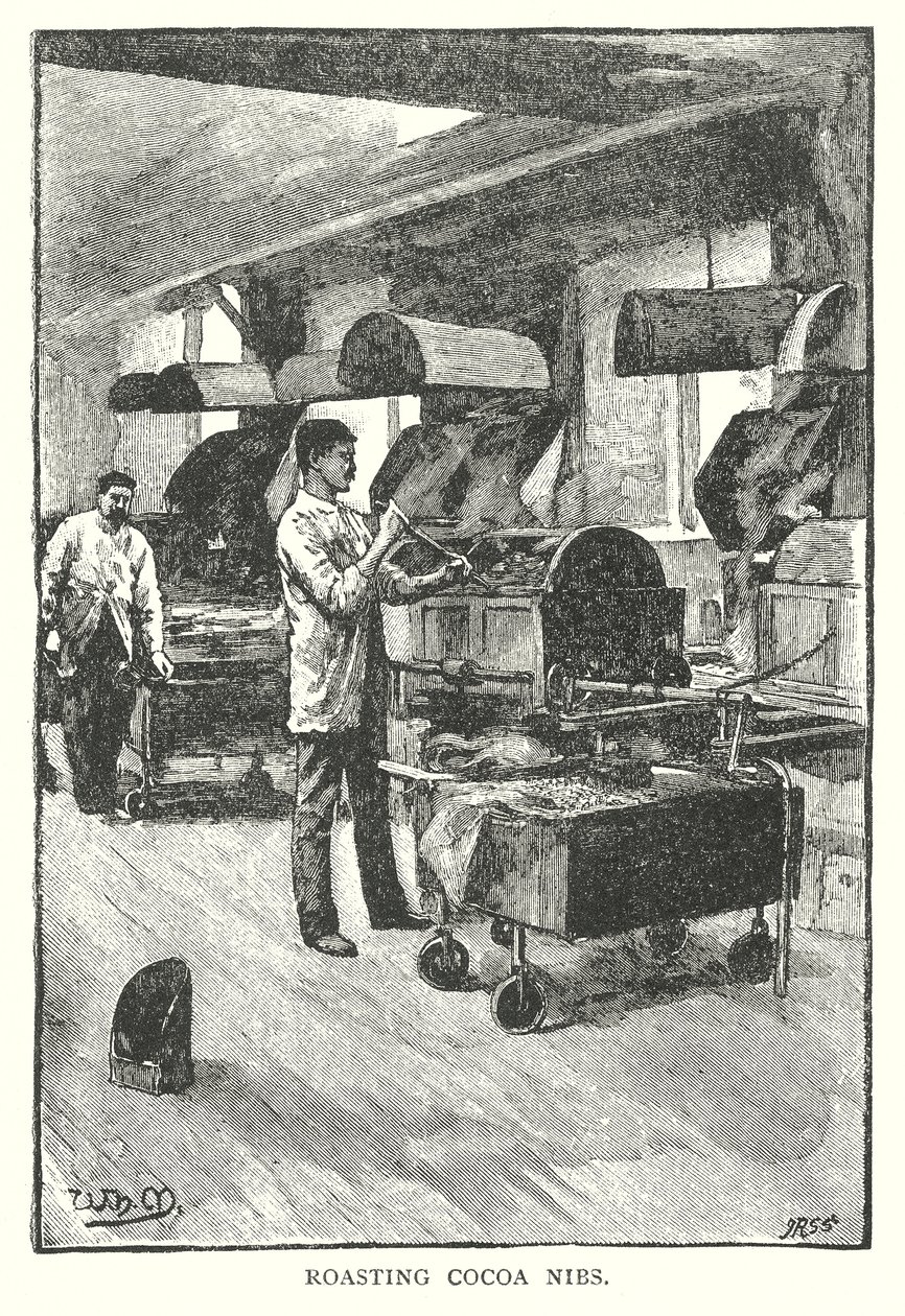 Pražení kakaových zrn (gravírování) od English School