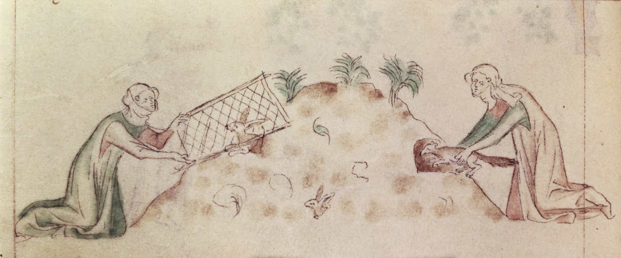 Roy 2 B VII f.155v Ženy chytající králíka sítí a fretku, z 