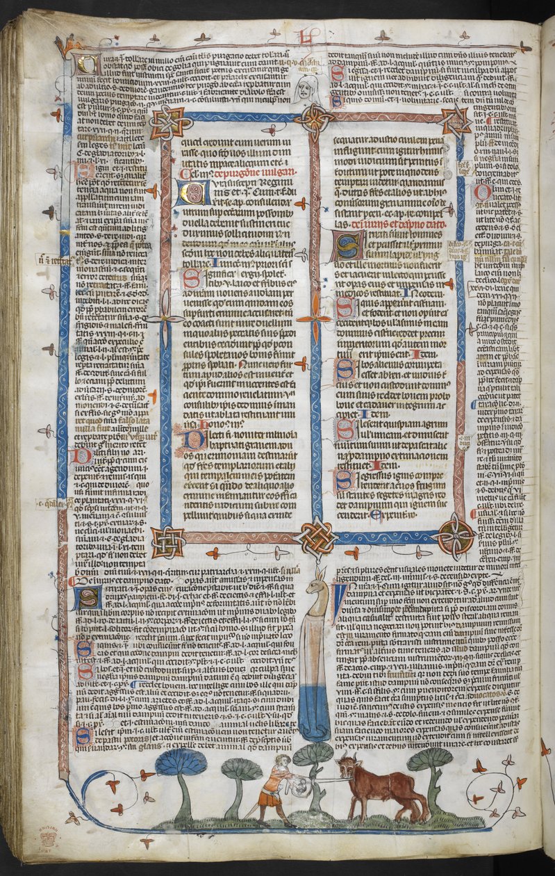 Královská 10 E IV fol. 294v Muž útočící na vola, ze Smithfield Decretals (Decretals of Gregory IX) c.1340 (vellum) od English School