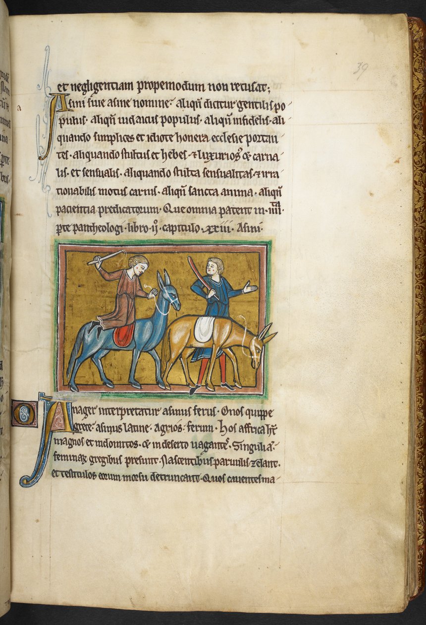 Královská 12 F.XIII, f.39   Dva muži se dvěma muži se zadky. , z Bestiáře (ff. 3-141), Lapidárium (ff. 141v-149)  , 2. čtvrtina 13. století (vellum) od English School