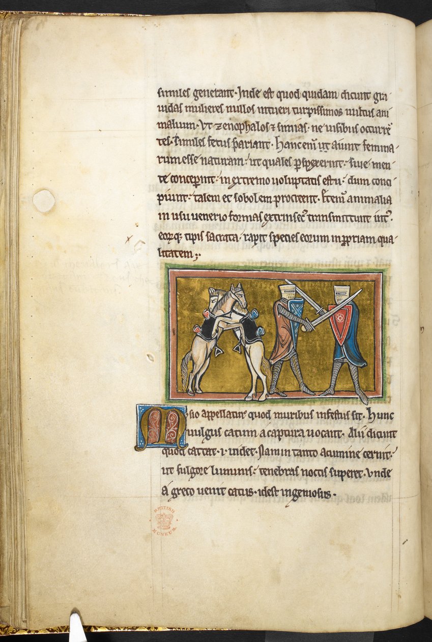 Royal 12 F.XIII, f.42v Dva rytíři bojující pěšky s meči, zatímco jejich koně spolu bojují na zadních nohách. , z Bestiáře (ff. 3-141), Lapidárium (ff. 141v-149)  , 2. čtvrtina 13. století (vellum) od English School