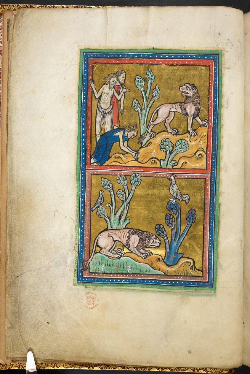 Royal 12 F.XIII, f.5v Nahoře: tři muži, jeden z nich se klaní lvu; dole: u paty stromu se krčí lev, nahoře sedí kohout.  z Bestiáře (ff. 3-141), Lapidária (ff. 141v-149)  2. čtvrtina 13. století od English School