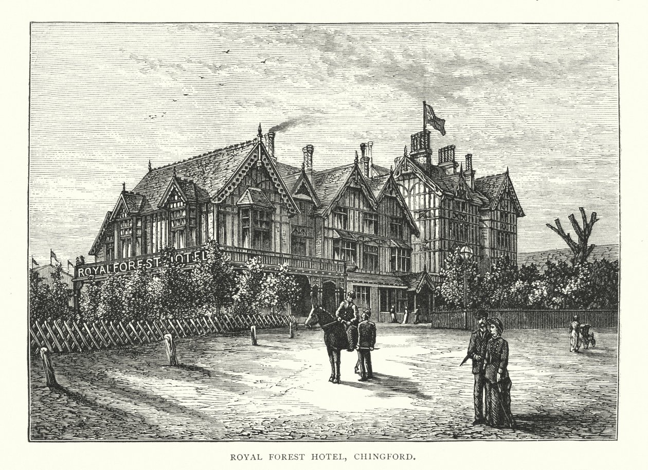 Hotel Royal Forest, Chingford (rytina) od English School