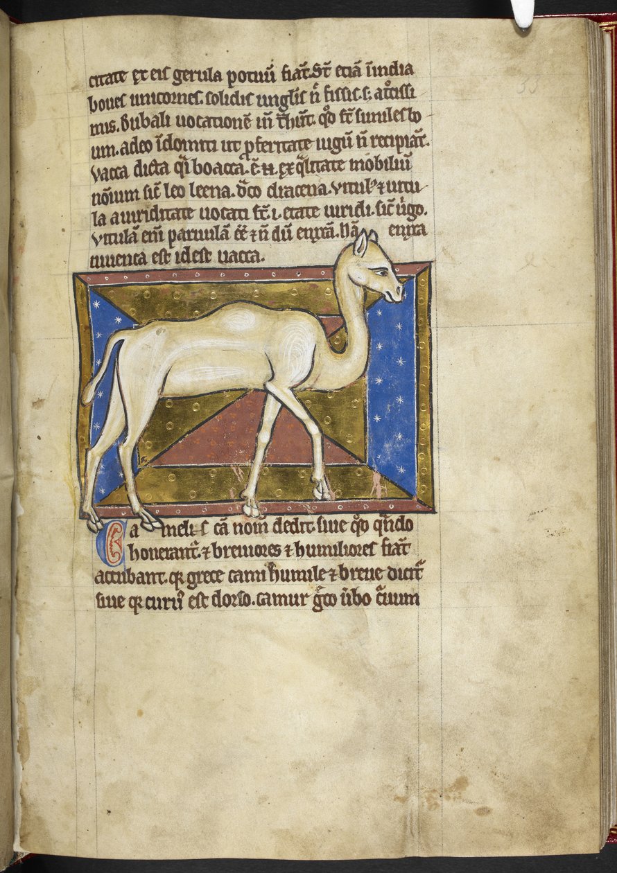 Royal MS 12 C XIX, f.33r Camel, od 