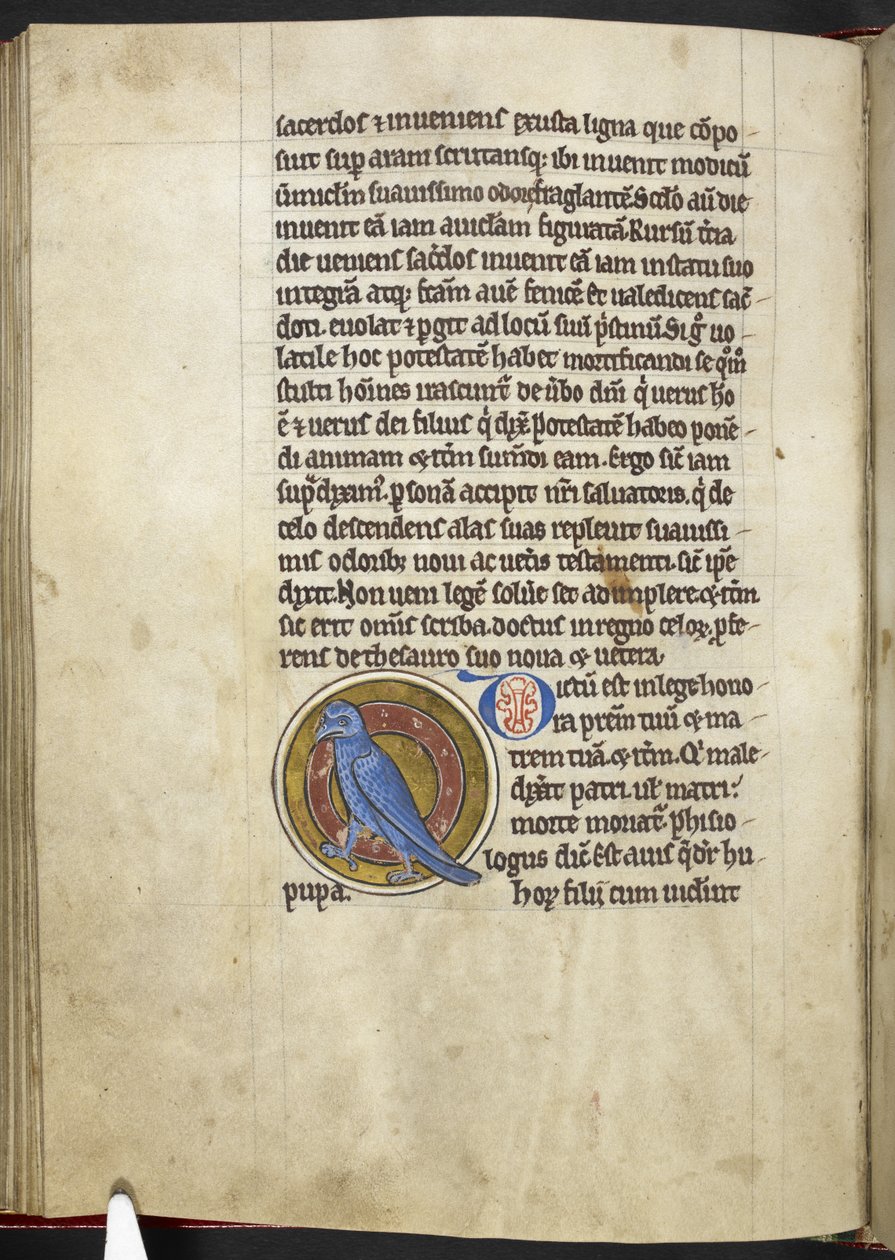 Royal MS 12 C XIX f.50v, Dudek, od 
