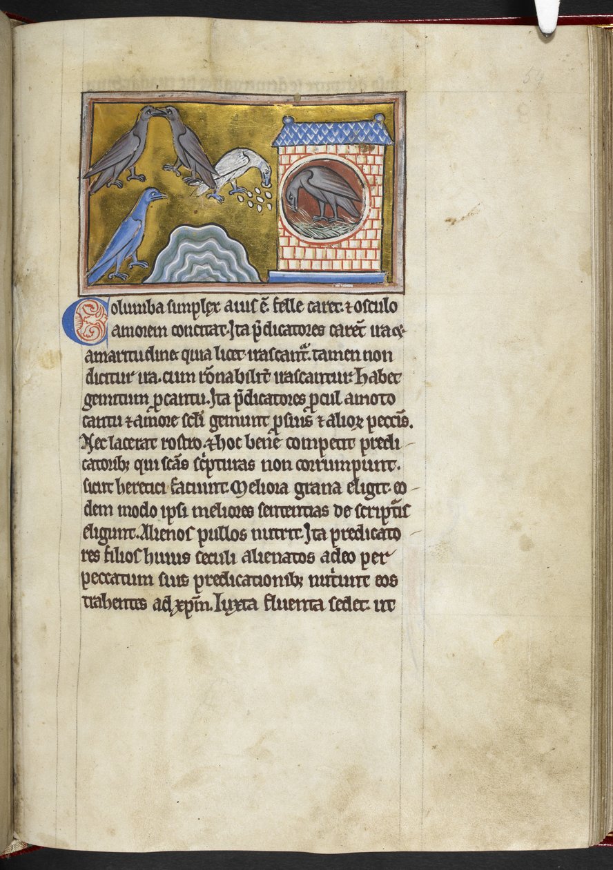 Royal MS 12 C XIX f.54r Doves, od 