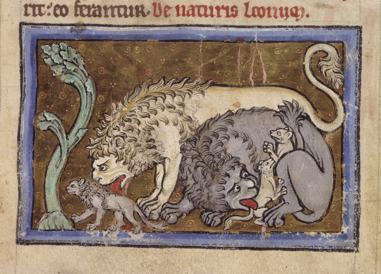 Royal MS 12 C XIX, f.6r Lions, od 