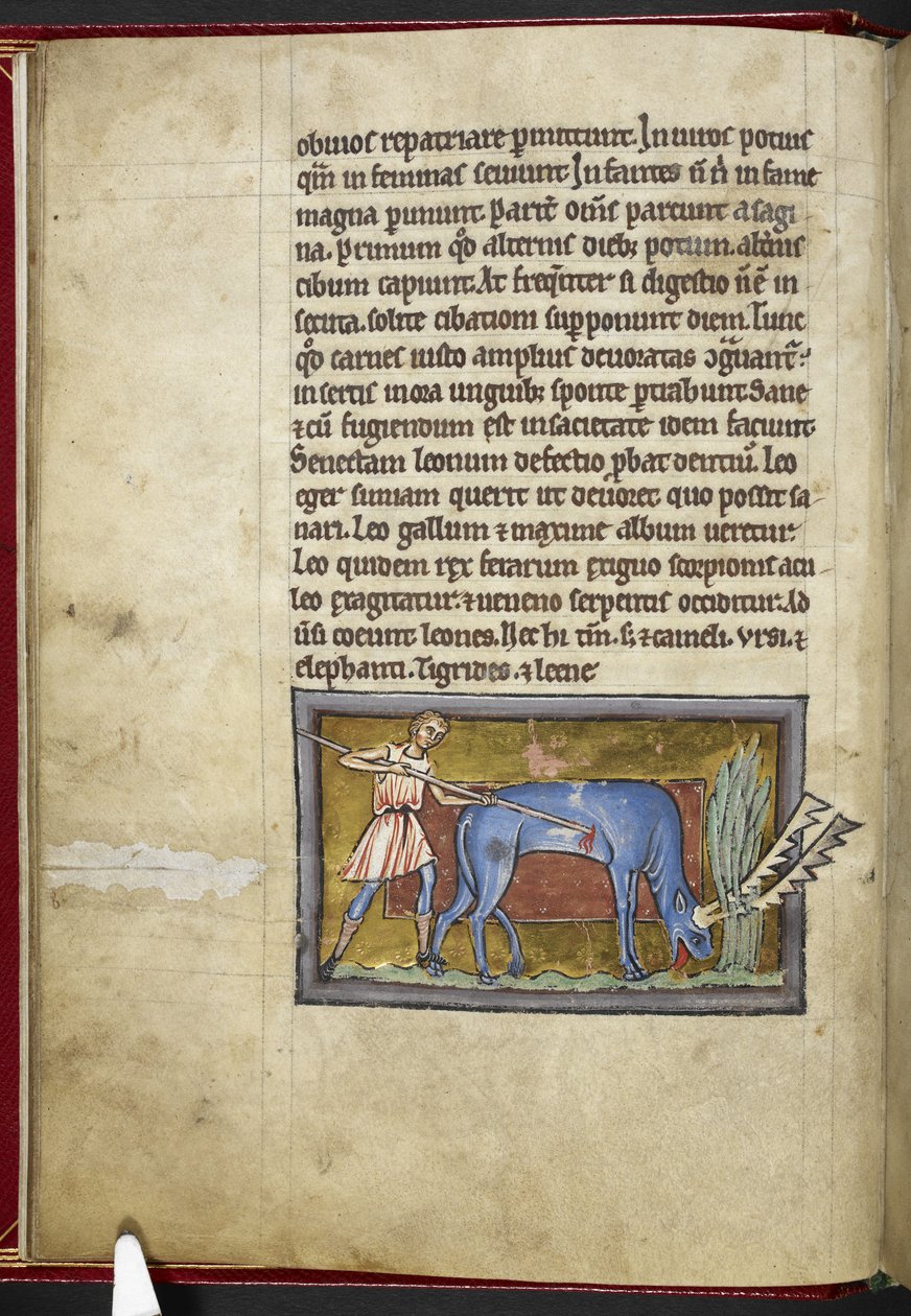 Royal MS 12 C XIX, f.7v Antilopa, od 