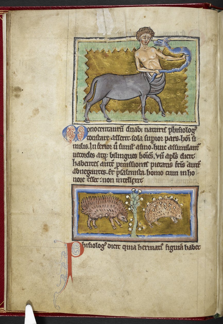 Royal MS 12 C XIX, f.8v Centaur, od 