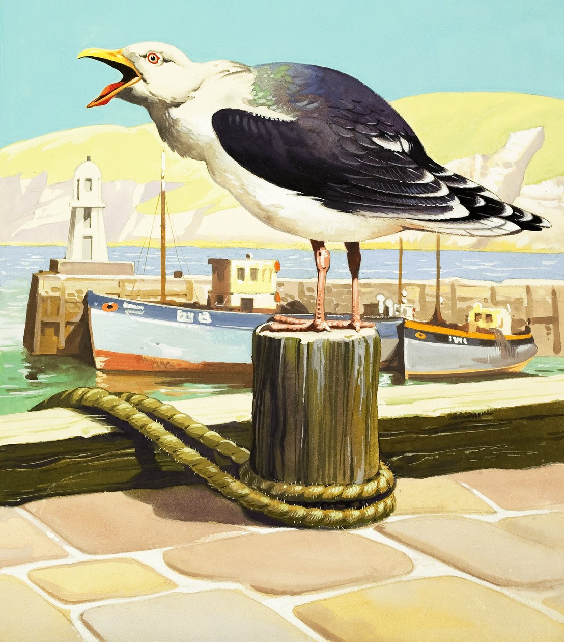 Racek, ilustrace z filmu "Bylo nebylo od English School
