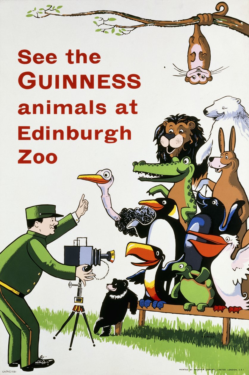 Podívejte se na zvířata Guinness v Edinburgh Zoo, kolem roku 1938 (barevná litografie) od English School