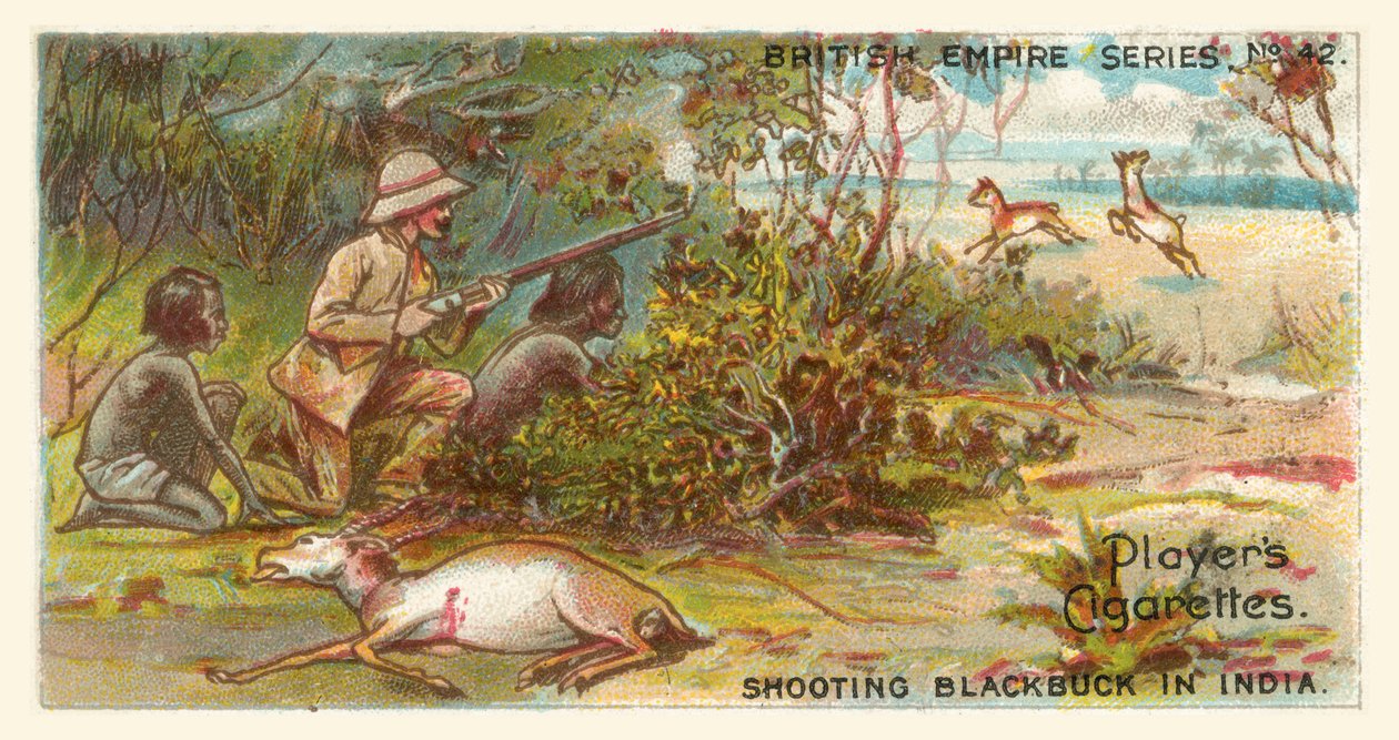 Střelba na Blackbuck v Indii (chromolitho) od English School