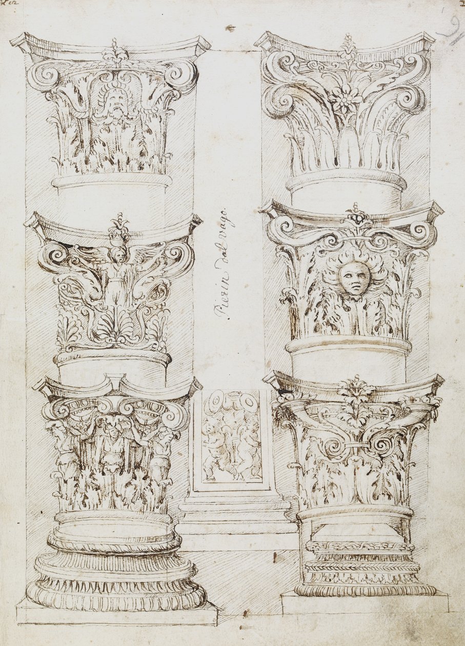 Six Capitals, a Lesene and Two Column Base, Folio 1, The Master of the Oxford Album, c.1512-17 (pero a tmavě hnědý inkoust) od English School