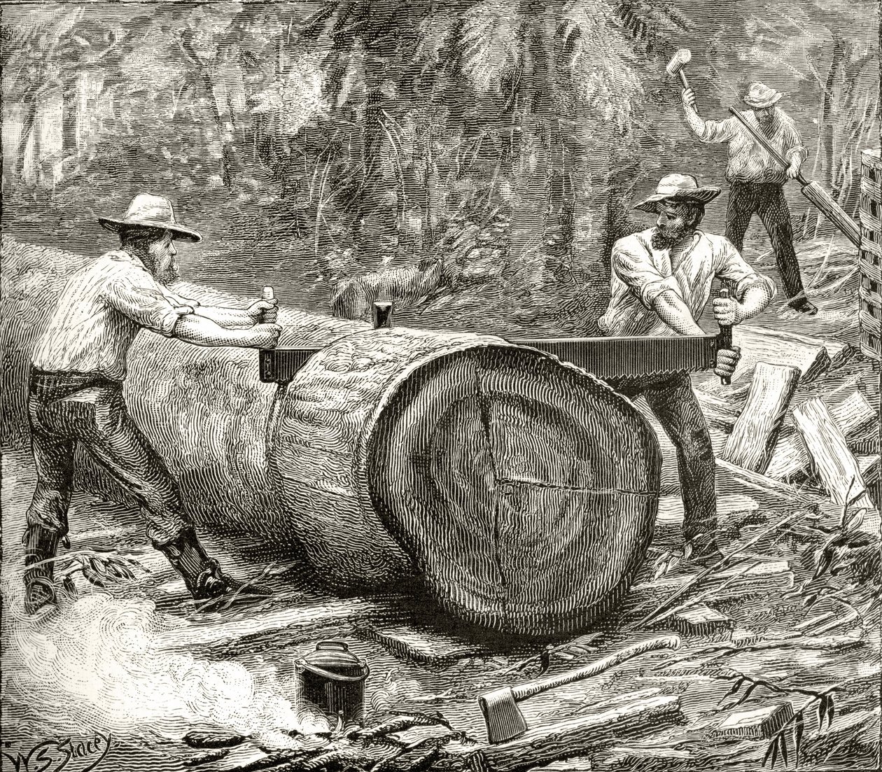 Splitters in the Bush, cca 1880, z 