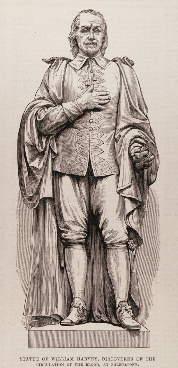 Socha Williama Harveyho (1578-1657), objevitele cirkulace krve, ve Folkestone, z The Illustrated London News, 13. srpna 1881 od English School