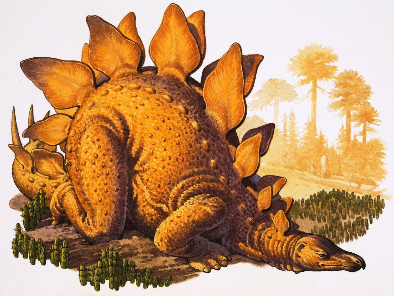 Stegosaurus (kvaš na papíře) od English School