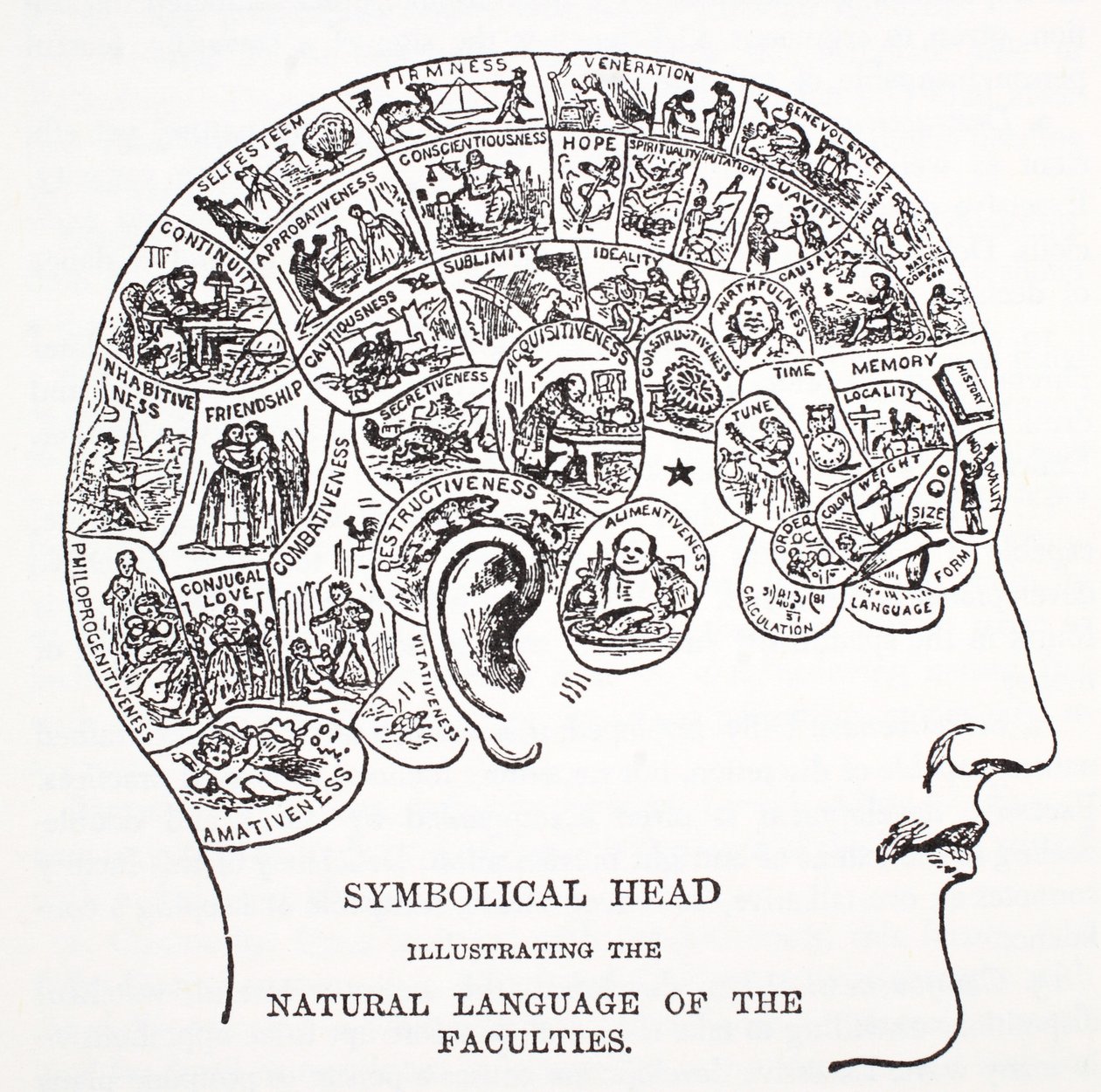 Symbolická hlava zobrazující přirozený jazyk fakult od English School
