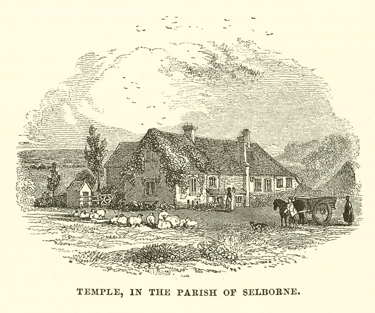 Temple, In the Parish of Selborne (rytina) od English School