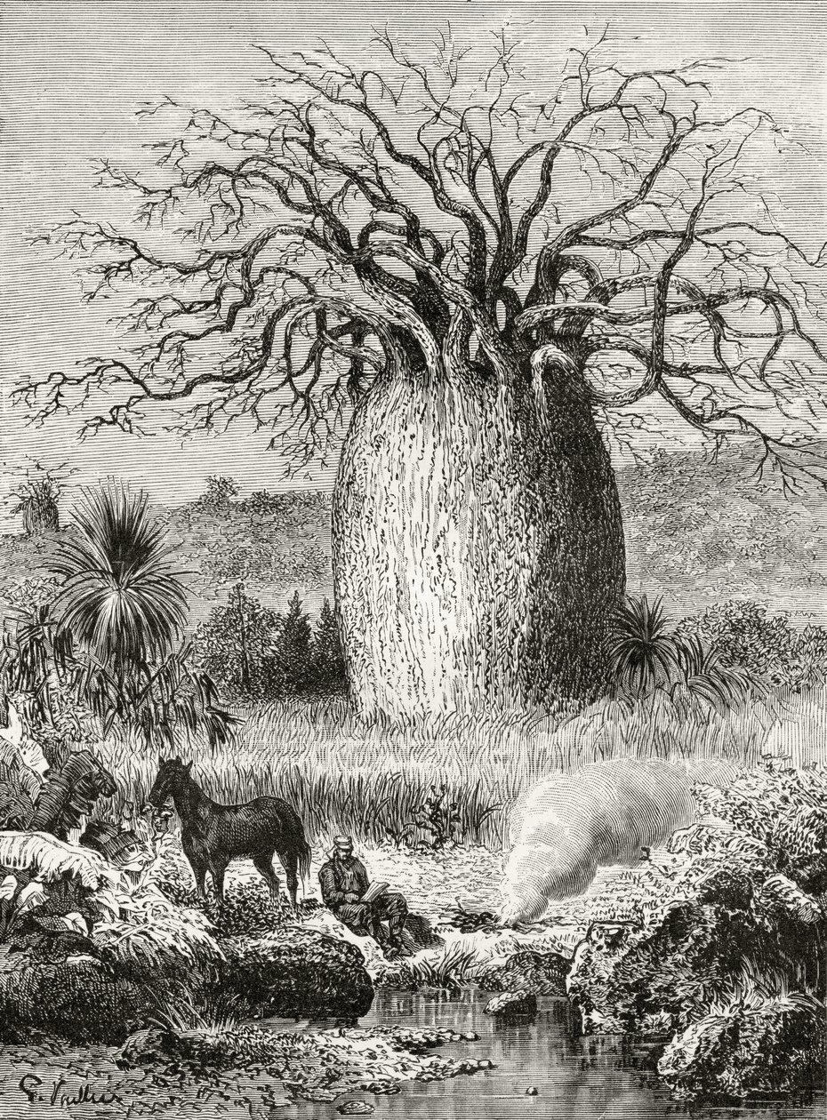 The Bottle Tree, z 