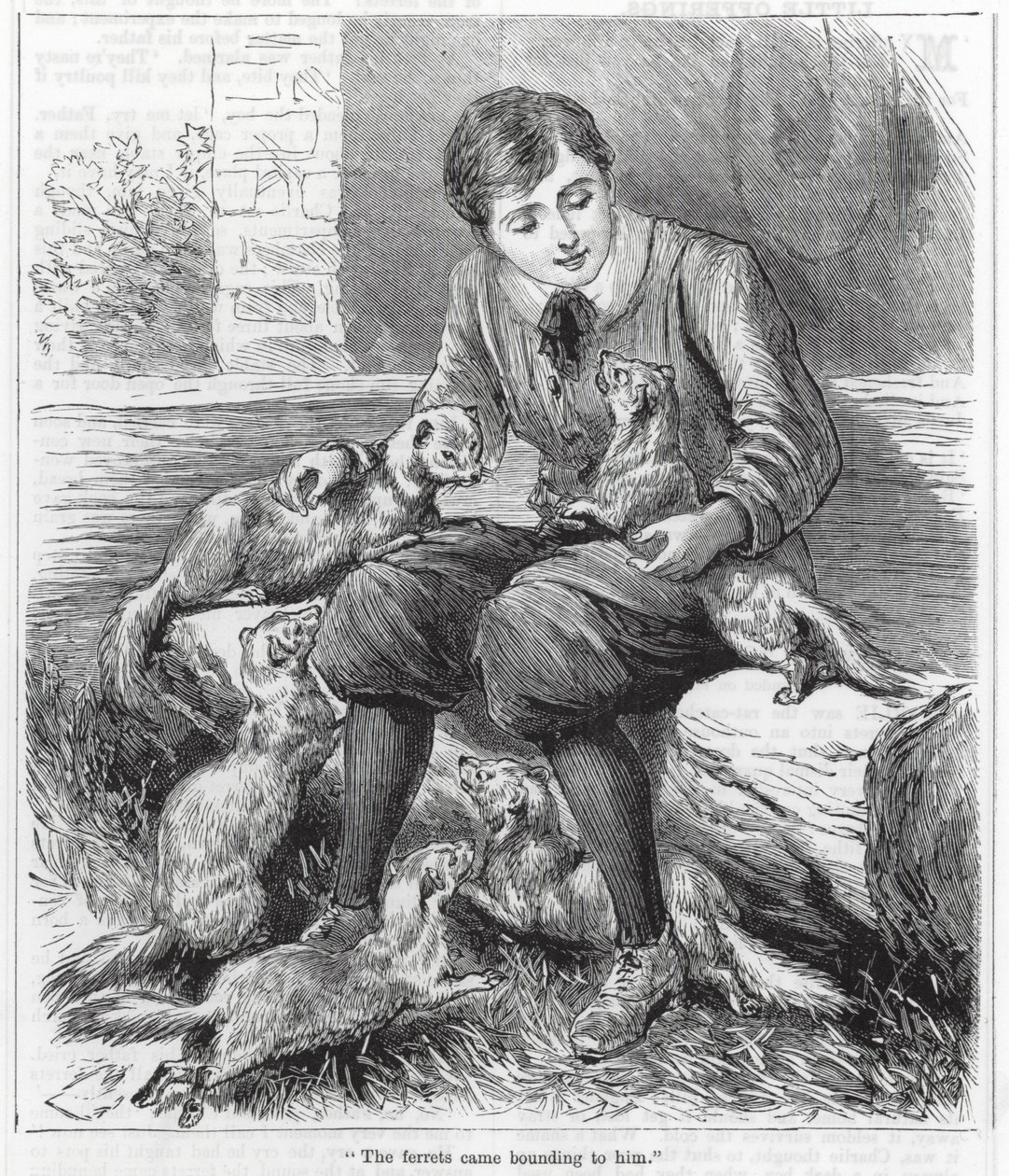 "Přiběhly k němu fretky" (rytina) od English School