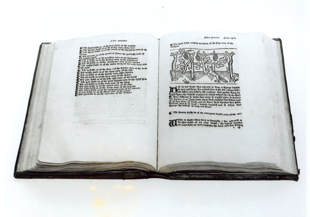Liška a hrozny, z ilustrovaného překladu Ezopových bajek od Williama Caxtona (c.1422-91) 1434 od English School