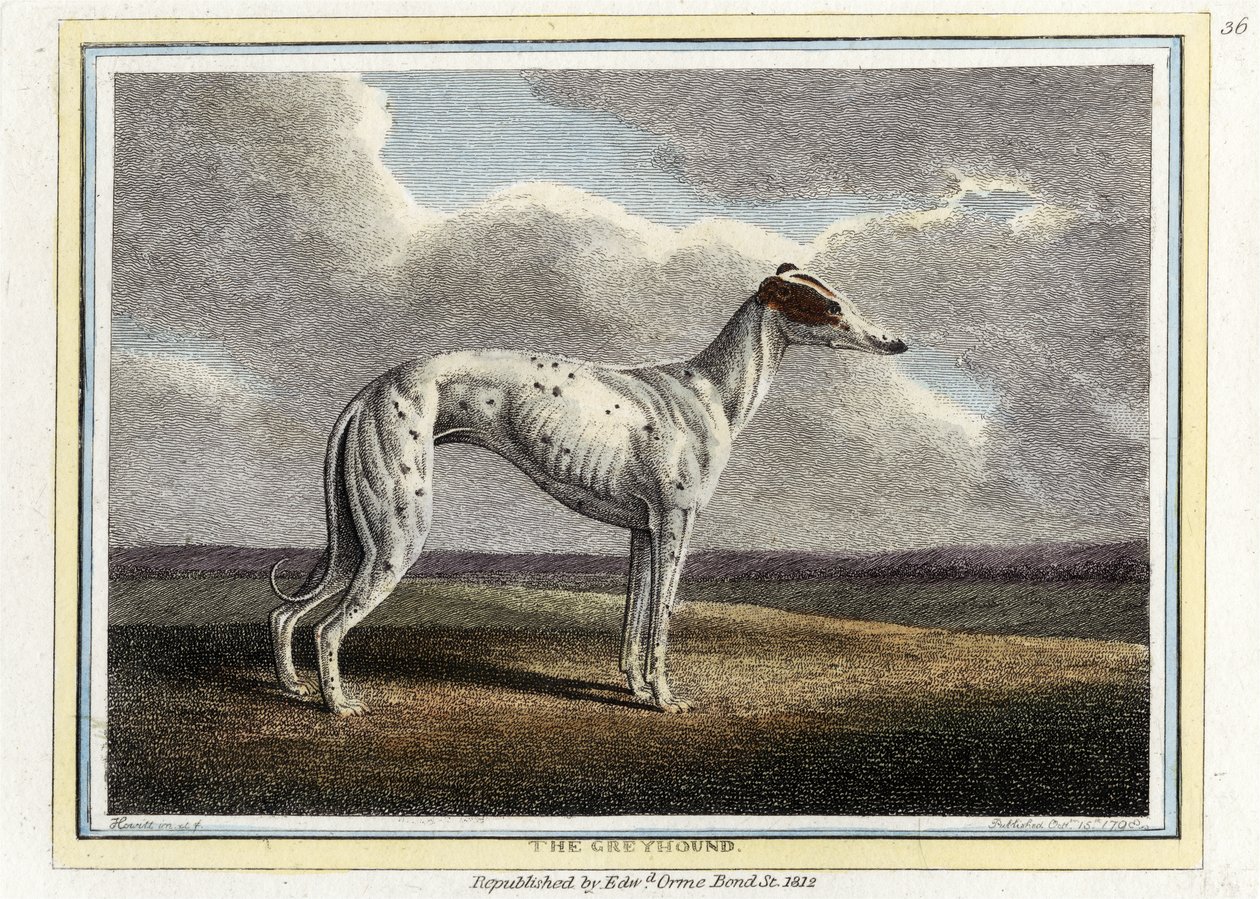 The Greyhound, hospoda. 1812 (ručně kolorovaná rytina) od English School
