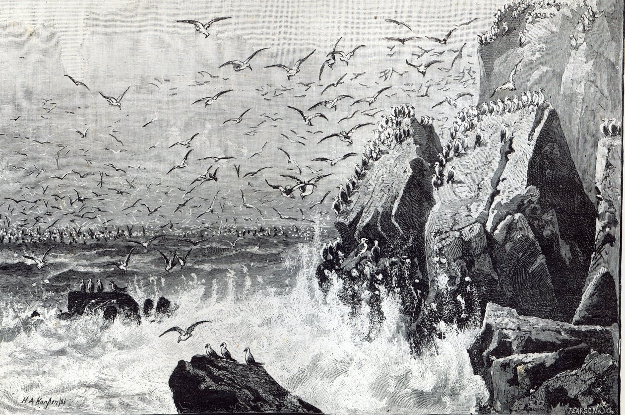Haunt of the Gulls, z „Hodiny volného času“, 1888 od English School