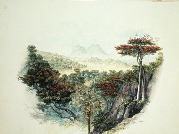 The Mountains, Ceylon (akvarel na papíře) od English School