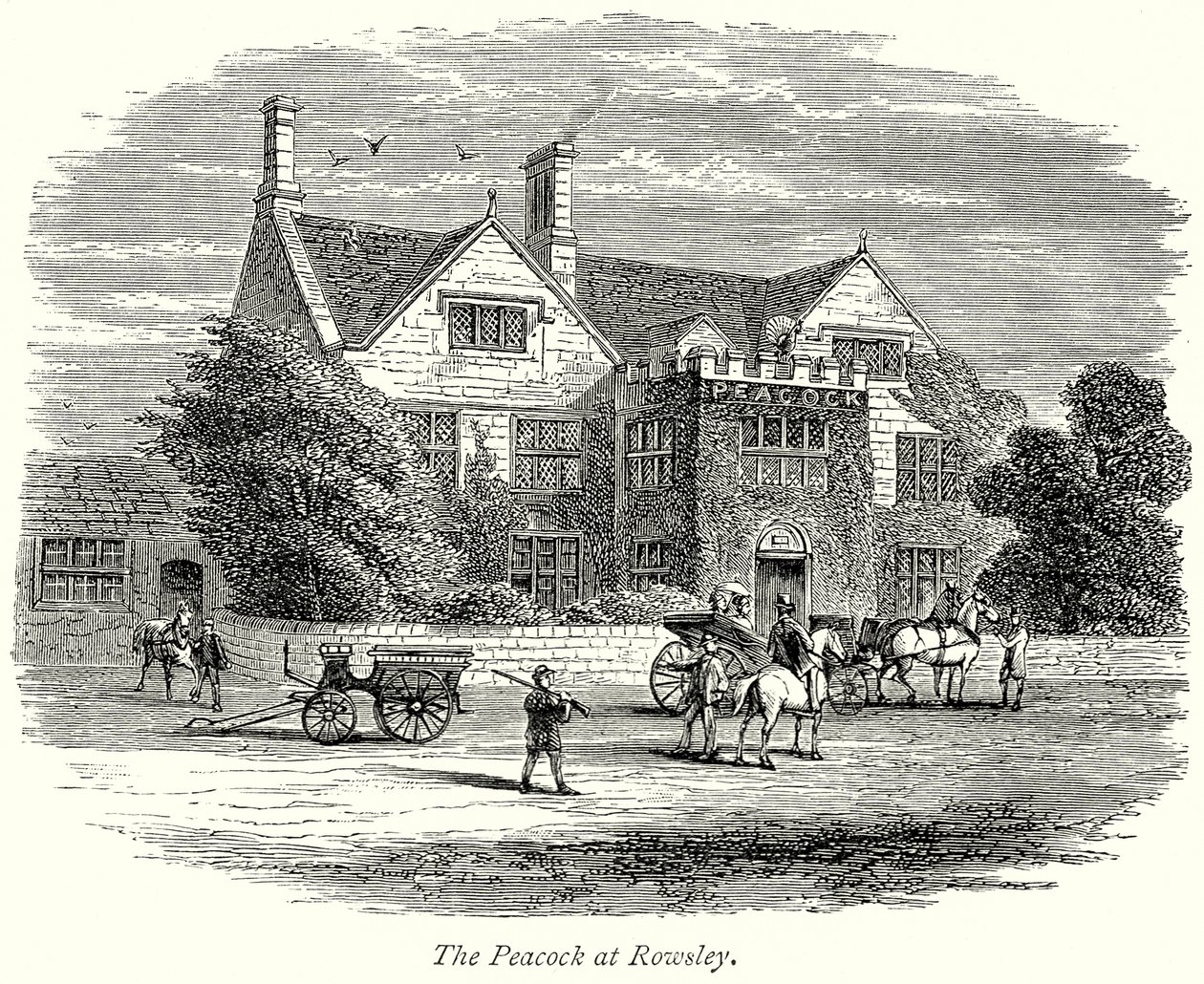 Páv v Rowsley (rytina) od English School