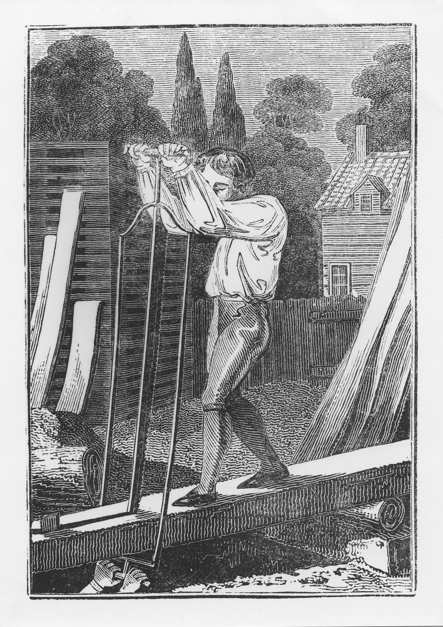The Sawyer, z The Young Tradesman nebo Book of English Trades, 1839 od English School