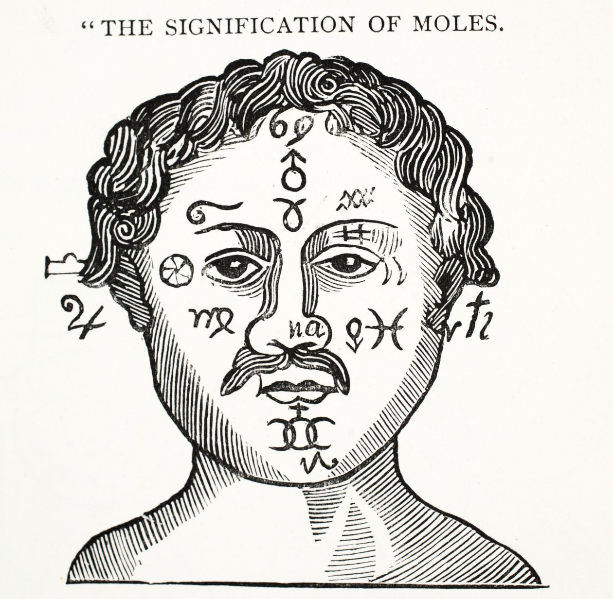 The Signification of Moles, ilustrace z knihy Chap-books of the Eighteenth Century od Johna Ashtona, vyd. 1882 od English School