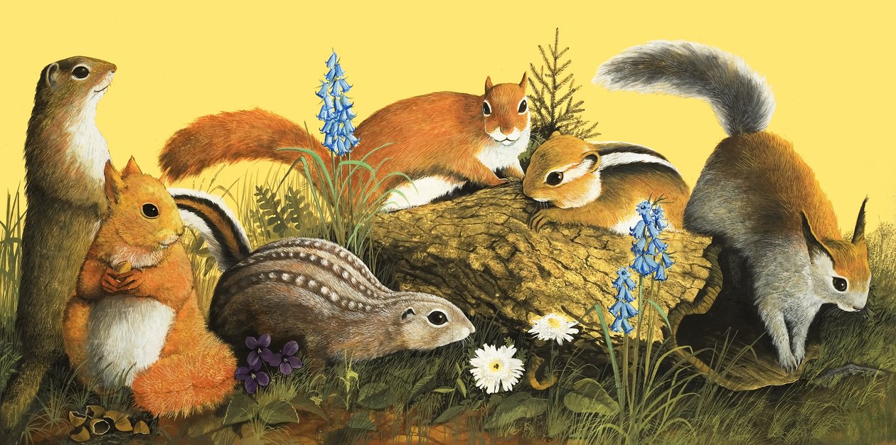 Veverčí rodinka, ilustrace z knihy "Bylo nebylo" (kvaš na papíře) od English School