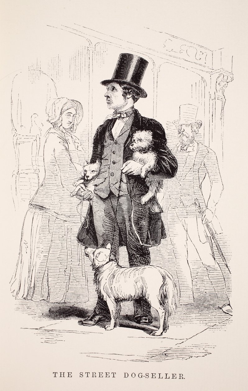 The Street Dog-Seller, ilustrace z London Labor and London Poor od Henryho Mayhewa, hospoda. 1862 od English School