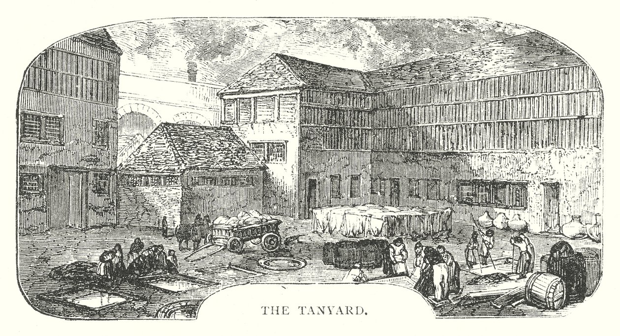 Tanyard (rytina) od English School
